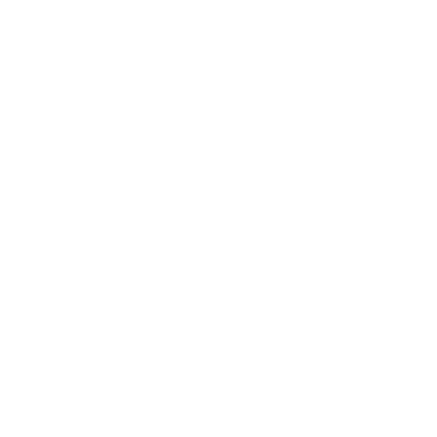 Hair Care Protein